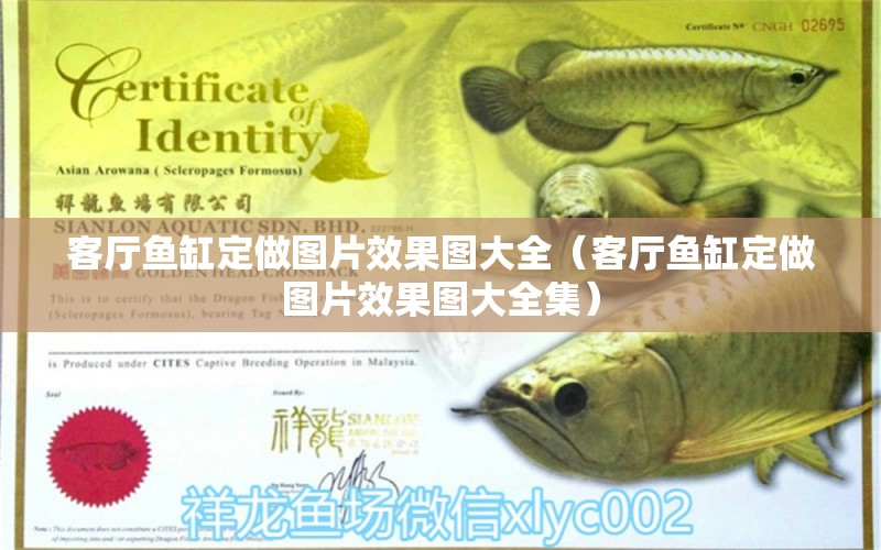 客廳魚缸定做圖片效果圖大全（客廳魚缸定做圖片效果圖大全集）