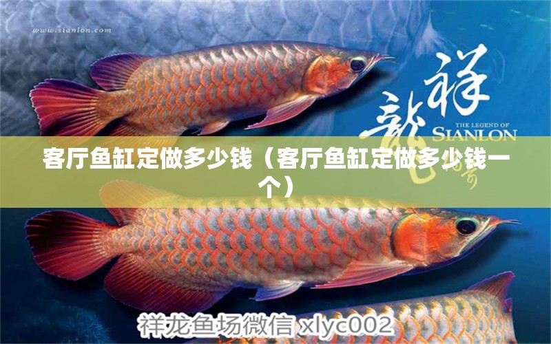 客廳魚缸定做多少錢（客廳魚缸定做多少錢一個）