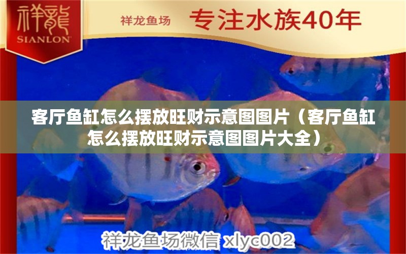 客廳魚缸怎么擺放旺財示意圖圖片（客廳魚缸怎么擺放旺財示意圖圖片大全） 胭脂孔雀龍魚