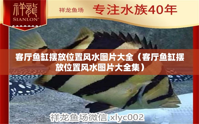 客廳魚缸擺放位置風(fēng)水圖片大全（客廳魚缸擺放位置風(fēng)水圖片大全集）