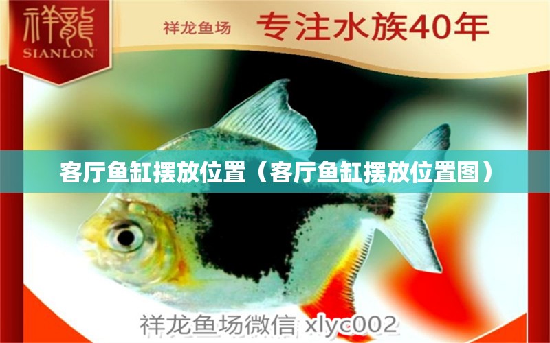 客廳魚缸擺放位置（客廳魚缸擺放位置圖）