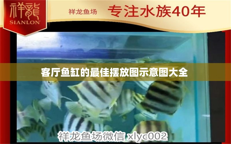 客廳魚缸的最佳擺放圖示意圖大全 