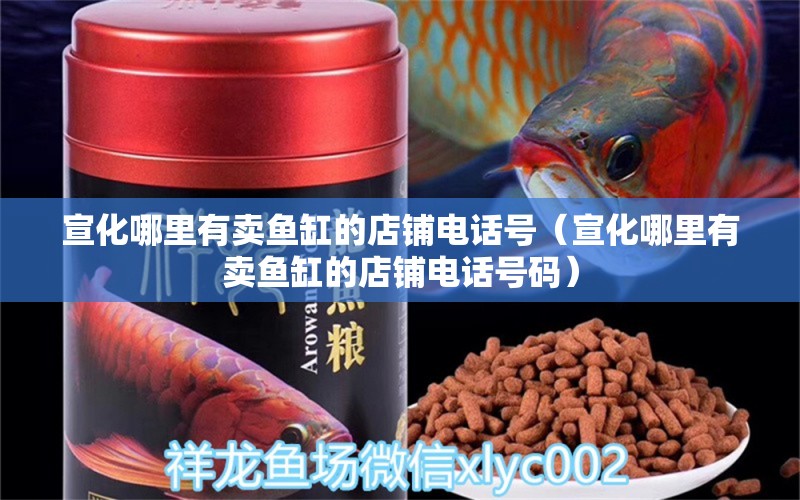 宣化哪里有賣魚缸的店鋪電話號（宣化哪里有賣魚缸的店鋪電話號碼）