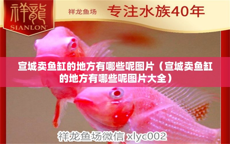 宣城賣(mài)魚(yú)缸的地方有哪些呢圖片（宣城賣(mài)魚(yú)缸的地方有哪些呢圖片大全）