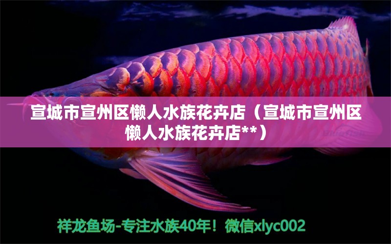 宣城市宣州區(qū)懶人水族花卉店（宣城市宣州區(qū)懶人水族花卉店**）