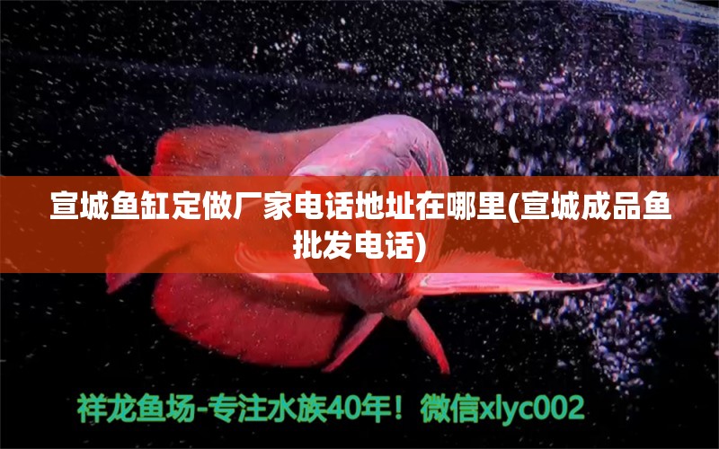 宣城魚缸定做廠家電話地址在哪里(宣城成品魚批發(fā)電話) 熱帶魚魚苗批發(fā) 第1張