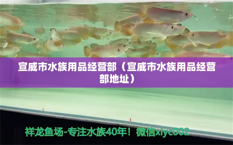 宣威市水族用品經(jīng)營(yíng)部（宣威市水族用品經(jīng)營(yíng)部地址）