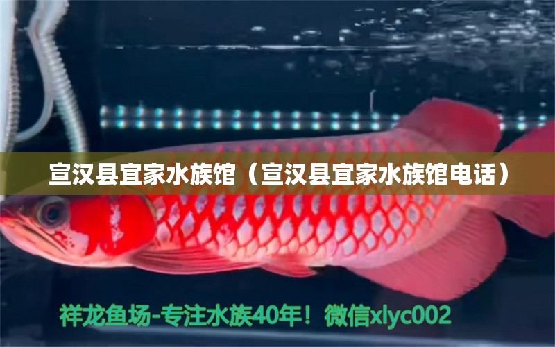 宣漢縣宜家水族館（宣漢縣宜家水族館電話）