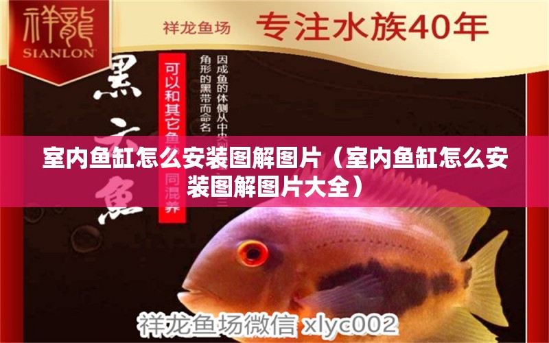 室內(nèi)魚缸怎么安裝圖解圖片（室內(nèi)魚缸怎么安裝圖解圖片大全）