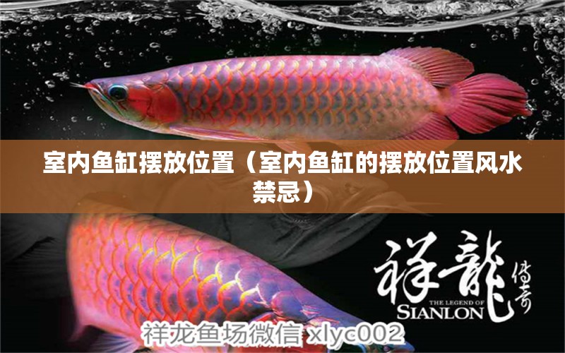 室內(nèi)魚缸擺放位置（室內(nèi)魚缸的擺放位置風(fēng)水禁忌）