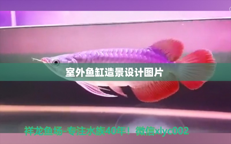 室外魚缸造景設(shè)計圖片  黑云魚