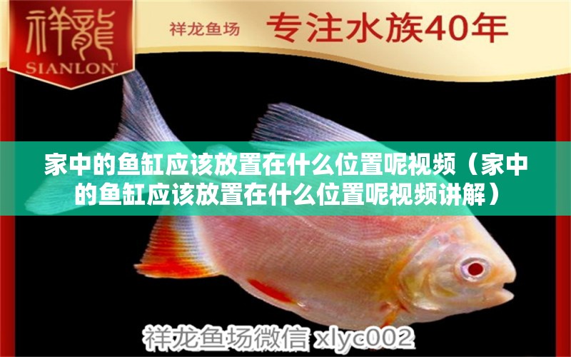 家中的魚缸應(yīng)該放置在什么位置呢視頻（家中的魚缸應(yīng)該放置在什么位置呢視頻講解）