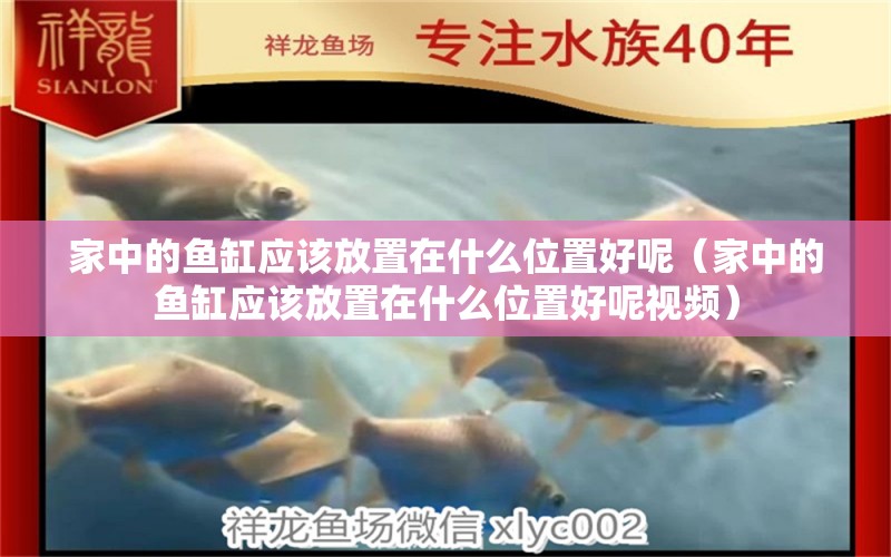 家中的魚缸應(yīng)該放置在什么位置好呢（家中的魚缸應(yīng)該放置在什么位置好呢視頻）