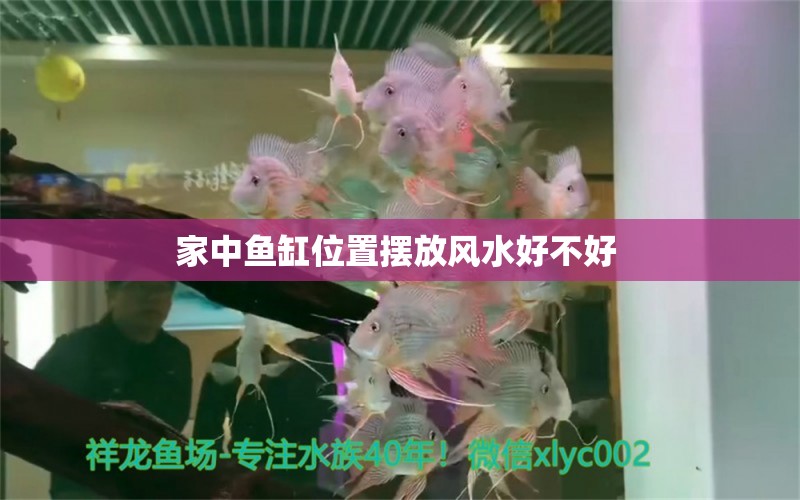 家中魚缸位置擺放風(fēng)水好不好 