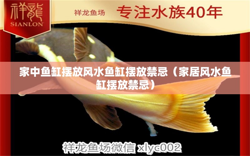 家中魚缸擺放風(fēng)水魚缸擺放禁忌（家居風(fēng)水魚缸擺放禁忌） 魚缸風(fēng)水 第1張