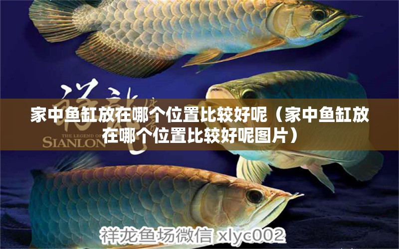 家中魚缸放在哪個位置比較好呢（家中魚缸放在哪個位置比較好呢圖片）