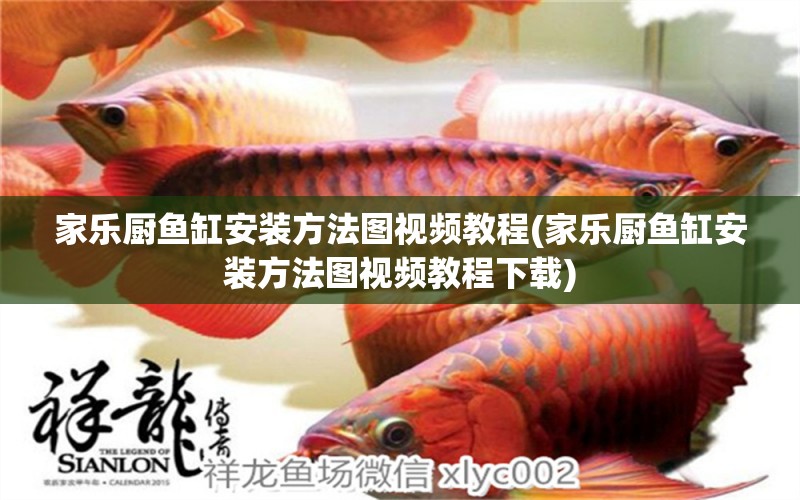 家樂(lè)廚魚缸安裝方法圖視頻教程(家樂(lè)廚魚缸安裝方法圖視頻教程下載) 照明器材