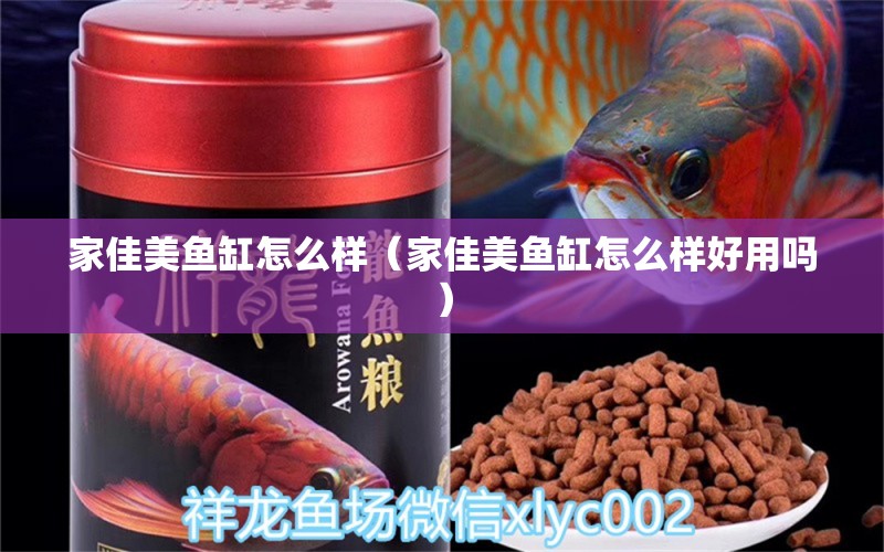 家佳美魚缸怎么樣（家佳美魚缸怎么樣好用嗎）