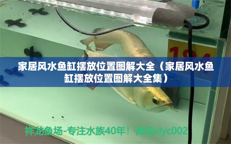 家居風水魚缸擺放位置圖解大全（家居風水魚缸擺放位置圖解大全集）