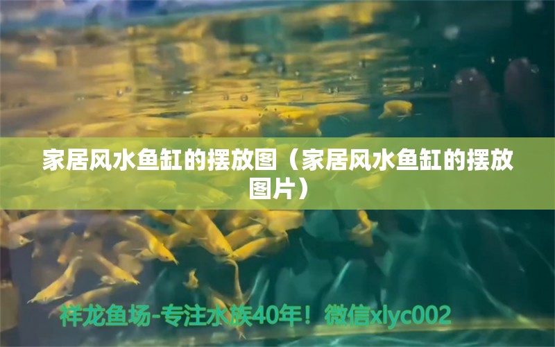 家居風水魚缸的擺放圖（家居風水魚缸的擺放圖片）