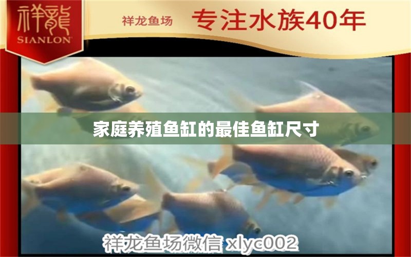 家庭養(yǎng)殖魚缸的最佳魚缸尺寸 養(yǎng)魚知識