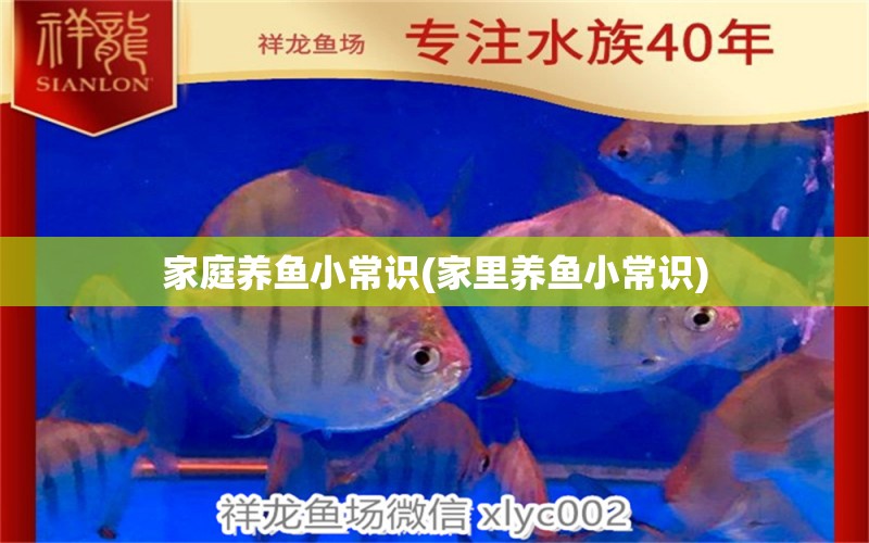 家庭養(yǎng)魚小常識(家里養(yǎng)魚小常識) 慈雕魚