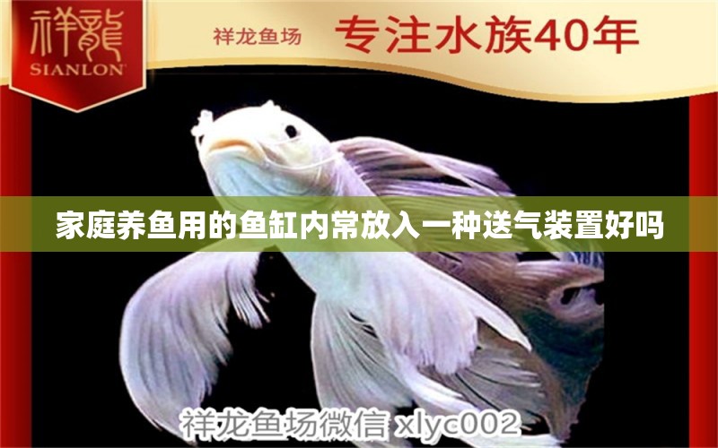 家庭養(yǎng)魚用的魚缸內(nèi)常放入一種送氣裝置好嗎