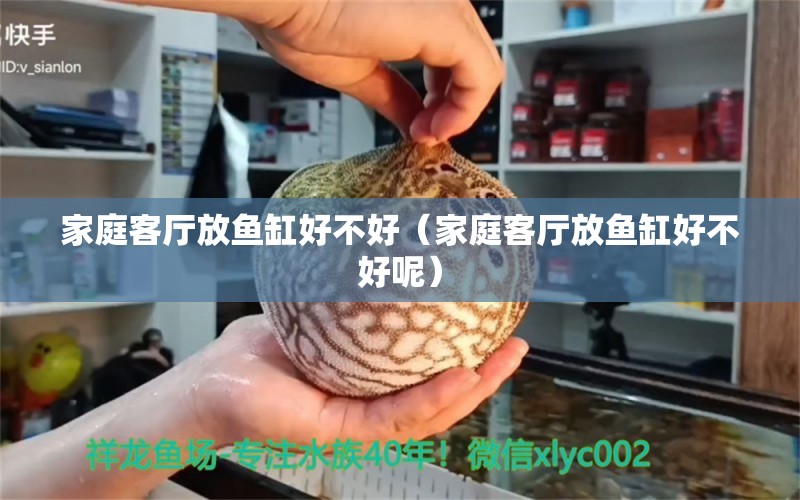 家庭客廳放魚缸好不好（家庭客廳放魚缸好不好呢） 量子養(yǎng)魚技術(shù)