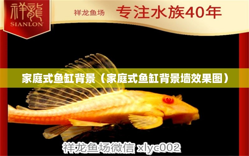 家庭式魚缸背景（家庭式魚缸背景墻效果圖）