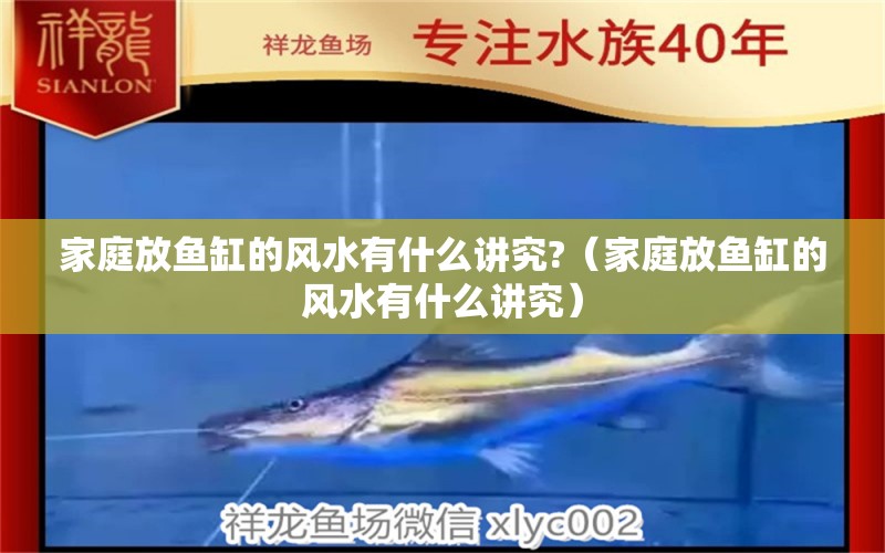 家庭放魚缸的風(fēng)水有什么講究?（家庭放魚缸的風(fēng)水有什么講究）