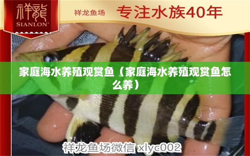 家庭海水養(yǎng)殖觀賞魚(yú)（家庭海水養(yǎng)殖觀賞魚(yú)怎么養(yǎng)）