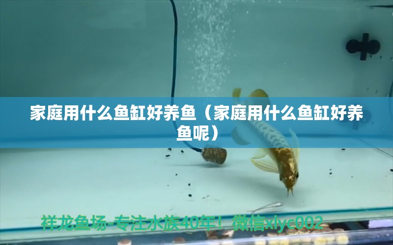 家庭用什么魚缸好養(yǎng)魚（家庭用什么魚缸好養(yǎng)魚呢） 祥龍水族醫(yī)院