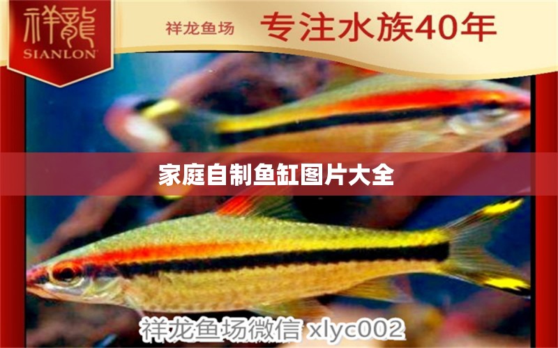 家庭自制魚(yú)缸圖片大全 