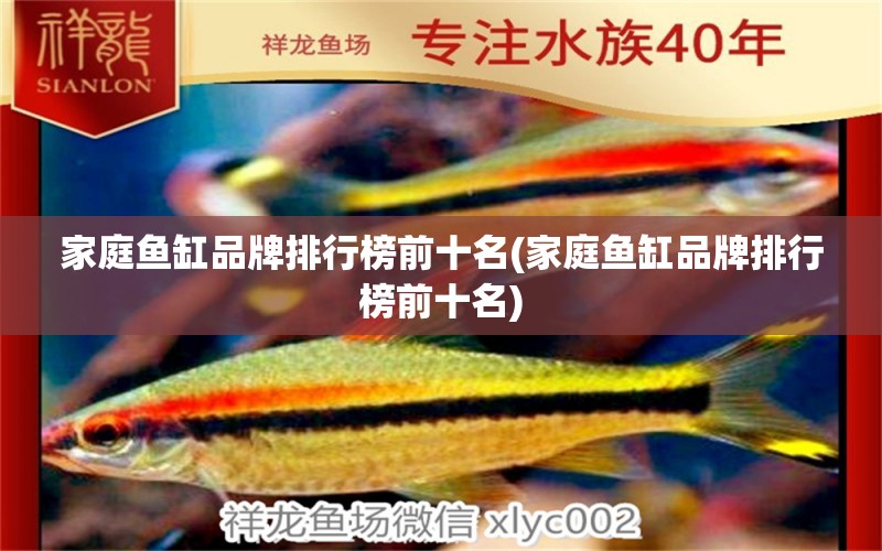 家庭魚缸品牌排行榜前十名(家庭魚缸品牌排行榜前十名) 虎紋銀版魚 第1張