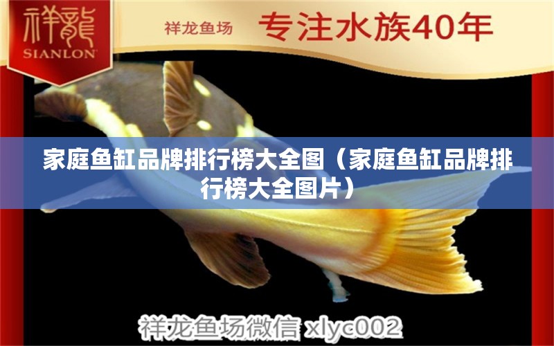 家庭魚缸品牌排行榜大全圖（家庭魚缸品牌排行榜大全圖片） 祥龍水族醫(yī)院