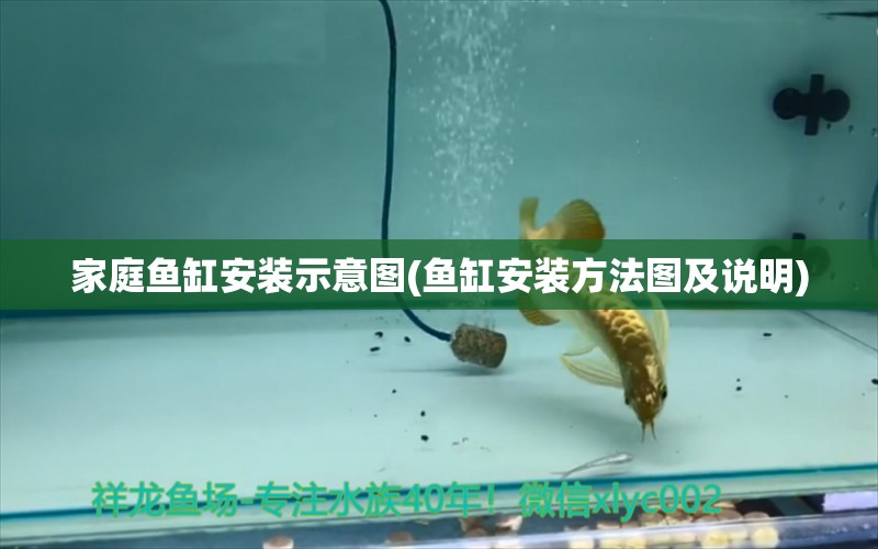 家庭魚(yú)缸安裝示意圖(魚(yú)缸安裝方法圖及說(shuō)明) 南美異形觀(guān)賞魚(yú)