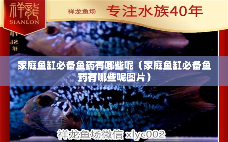 家庭魚缸必備魚藥有哪些呢（家庭魚缸必備魚藥有哪些呢圖片）