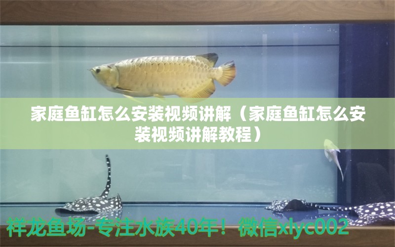 家庭魚缸怎么安裝視頻講解（家庭魚缸怎么安裝視頻講解教程） 野彩魚