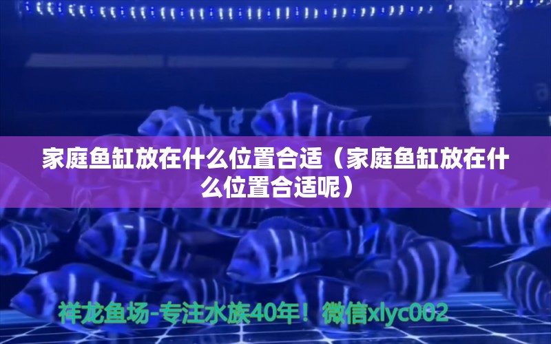 家庭魚(yú)缸放在什么位置合適（家庭魚(yú)缸放在什么位置合適呢）