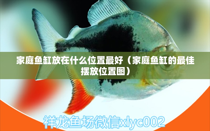 家庭魚缸放在什么位置最好（家庭魚缸的最佳擺放位置圖）