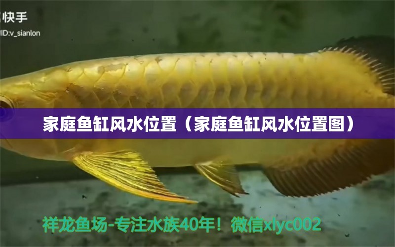 家庭魚缸風(fēng)水位置（家庭魚缸風(fēng)水位置圖） 魚缸風(fēng)水