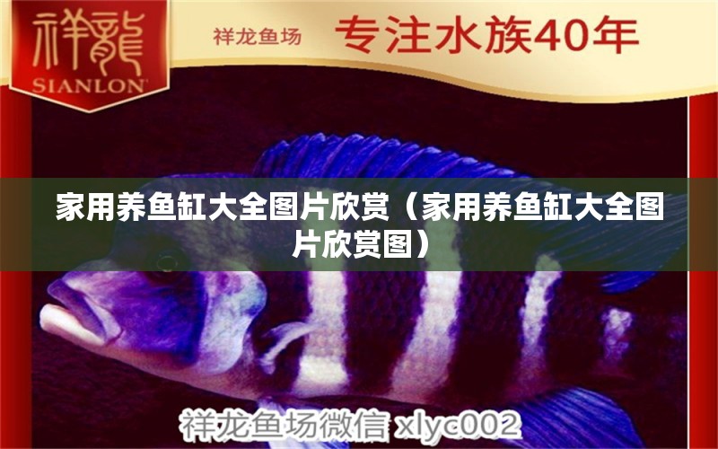 家用養(yǎng)魚缸大全圖片欣賞（家用養(yǎng)魚缸大全圖片欣賞圖）