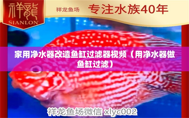 家用凈水器改造魚缸過濾器視頻（用凈水器做魚缸過濾） 申古三間魚