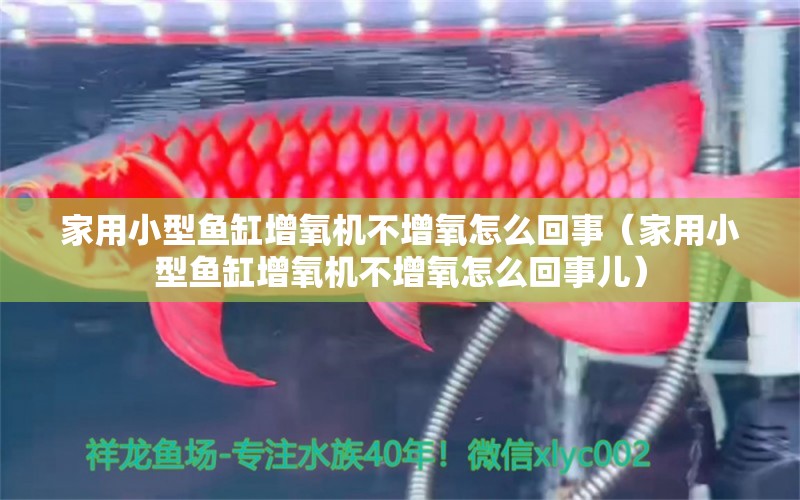 家用小型魚缸增氧機(jī)不增氧怎么回事（家用小型魚缸增氧機(jī)不增氧怎么回事兒）