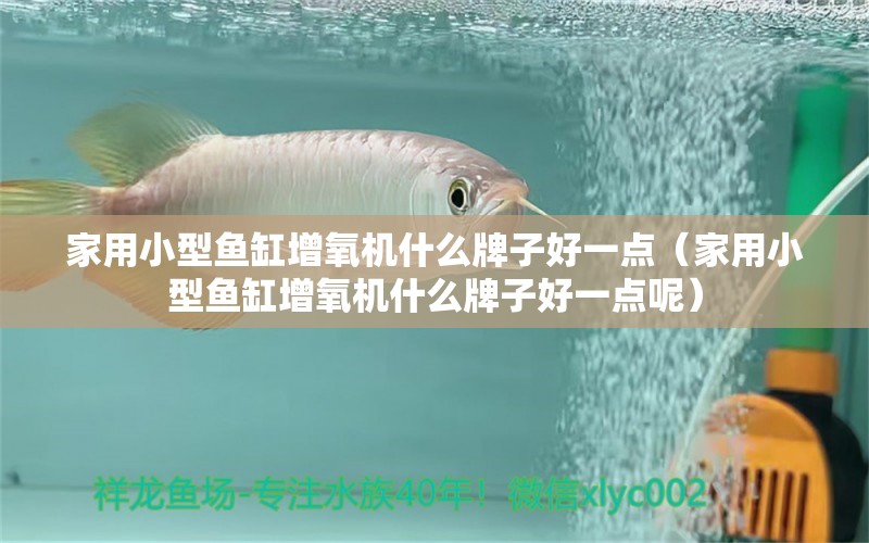 家用小型魚缸增氧機(jī)什么牌子好一點(diǎn)（家用小型魚缸增氧機(jī)什么牌子好一點(diǎn)呢）