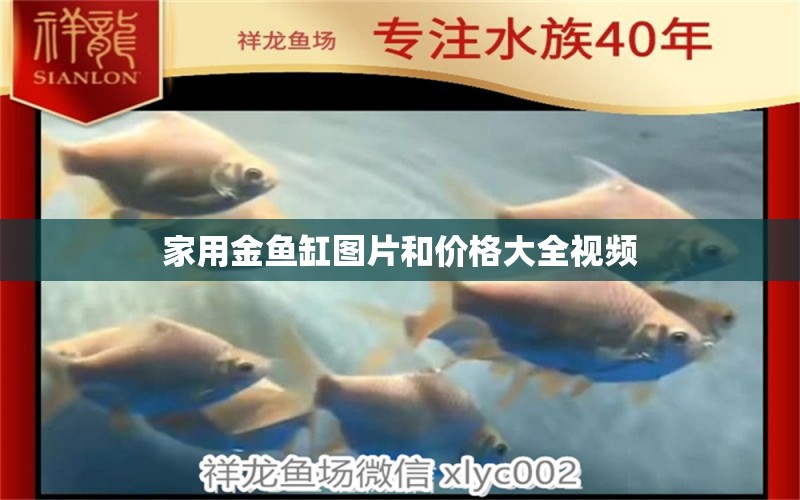 家用金魚缸圖片和價格大全視頻