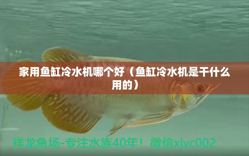 家用魚(yú)缸冷水機(jī)哪個(gè)好（魚(yú)缸冷水機(jī)是干什么用的）