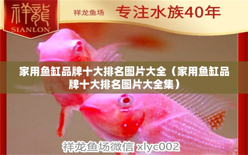 家用魚缸品牌十大排名圖片大全（家用魚缸品牌十大排名圖片大全集）