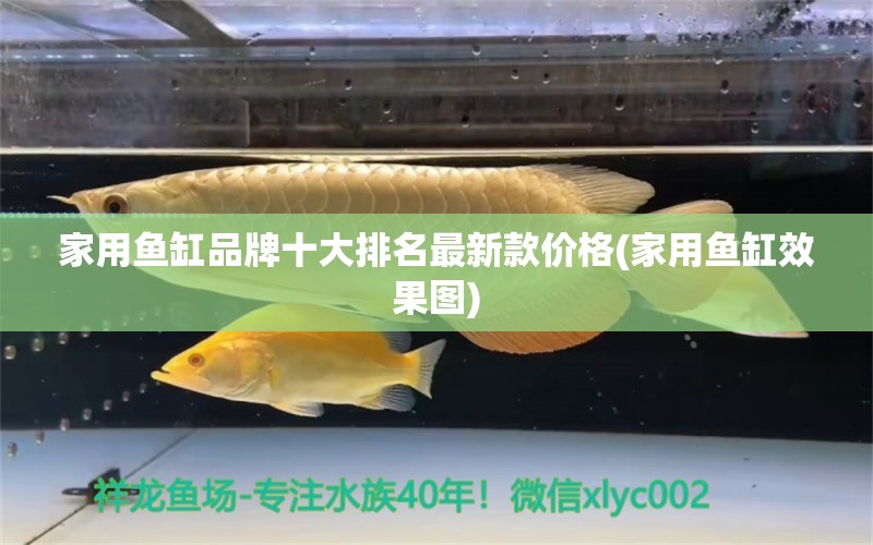 家用魚缸品牌十大排名最新款價格(家用魚缸效果圖)