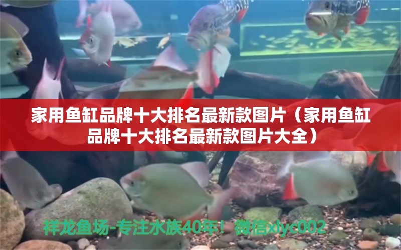 家用魚缸品牌十大排名最新款圖片（家用魚缸品牌十大排名最新款圖片大全）